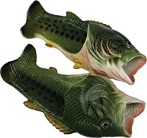 FISH SHOE, BASS